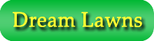 Learn more about Dream Lawns